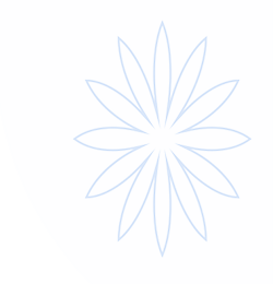 七天娱乐城安全下载 - 官方安装包